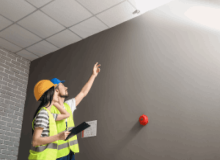 Pest Inspections